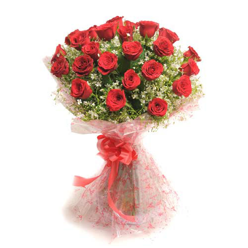 Buy / Send Rosy Romance 25 Red Roses Online | Way2flowers