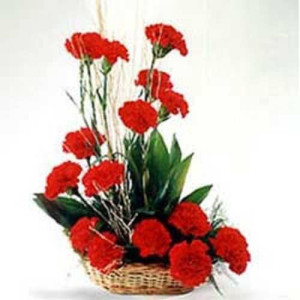 Romantic Affair 15 Red Carnations