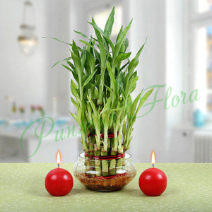 Three Layer Bamboo Plant With Red Candles