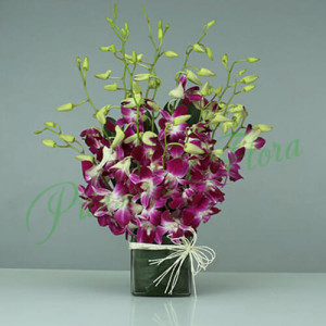 15 Purple Orchids Vase Arrangement