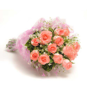 12 Baby Pink Roses
