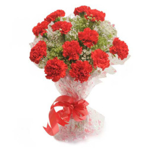 Delight 12 Red Carnations