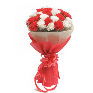 Red N White Carnations