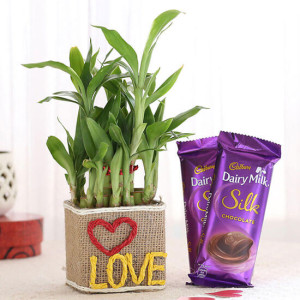 2 Layer Lucky Bamboo In Love Vase With Dairy Milk Silk Chocolates