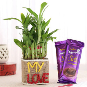 2 Layer Lucky Bamboo In My Love Vase With Dairy Milk Silk Chocolates