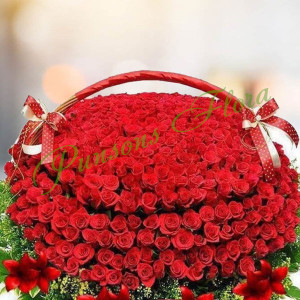 1000 red roses basket