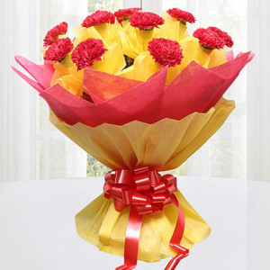 Precious Love 12 Red Carnations Online