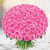 1000 Pink Roses Bouquet