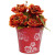Artificial Flower Bucket