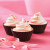 Butterscotch Top Pink 6 Cup Cake