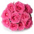 Perfect Love 10 Pink Roses