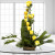 Beautiful Colors 15 Yellow Online Roses from Way2flowers