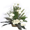 Cool Classic 20 White Carnations