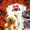 500 RosesLove Special