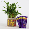 2 Layer Lucky Bamboo In For U Vase With Dairy Milk Silk Chocolates