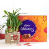 2 Layer Lucky Bamboo In I Love U Vase With Cadbury Celebrations