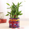 2 Layer Lucky Bamboo With Heart Shaped Tag