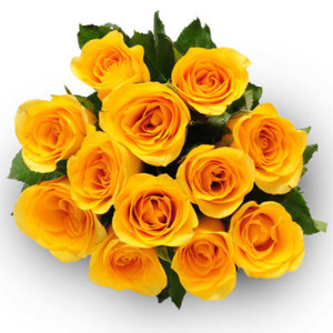 Eternal Purity 12 Yellow Roses