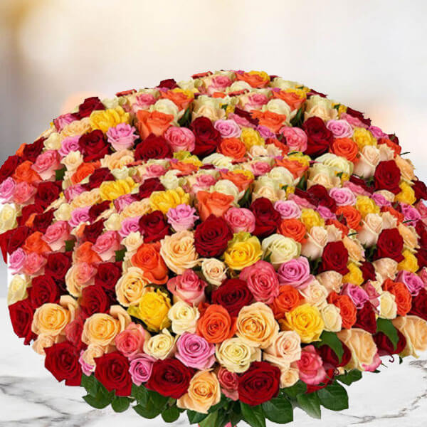Bouquet of 1000 Mix Roses