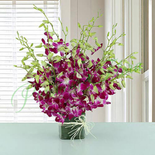 20 Purple Orchids Vase Arrangement