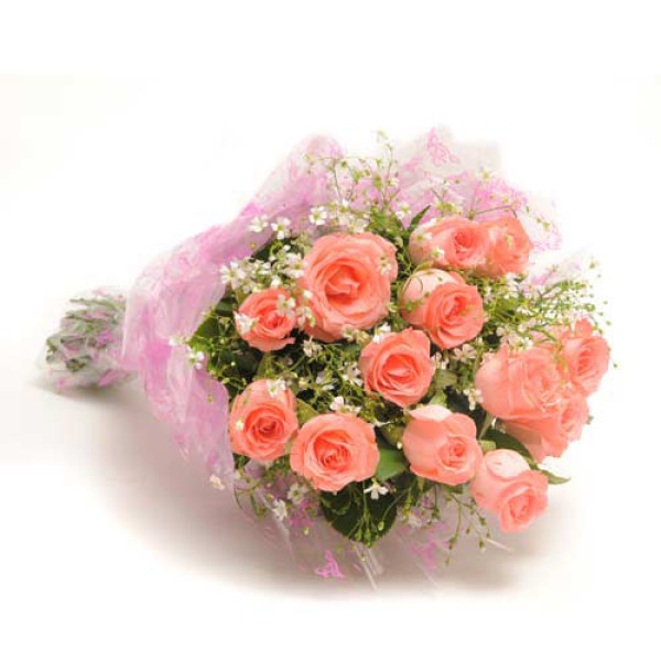 12 Baby Pink Roses