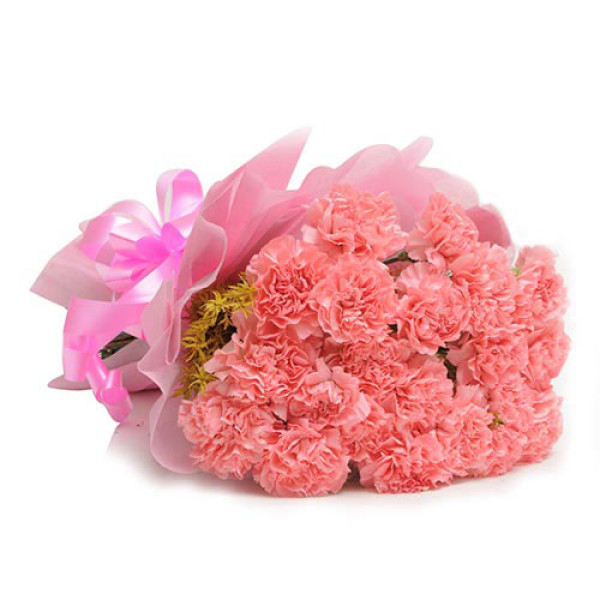 15 Pink Carnations