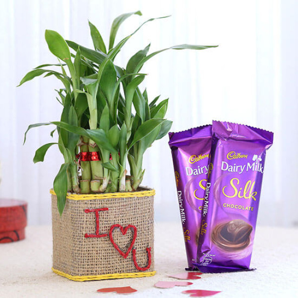 2 Layer Lucky Bamboo In I Love U Glass Vase With Dairy Milk Silk Chocolates